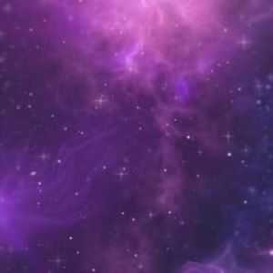 Meet your Posher, Gracie